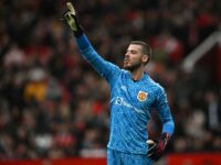 Paul Scholes stresses it is crucial that Manchester United keep goalkeeper