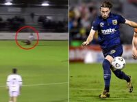 A-League player who broke a player’s ankle in park footy match given one of the biggest bans handed down in the league