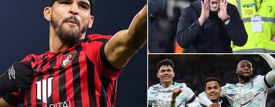 Bournemouth are better off WITHOUT Dominic Solanke’s goals – and Andoni Iraola can take the credit, writes TARA ANSON-WALSH