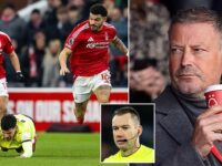 Former referee Mark Clattenburg blasts ‘LAZY’ standards of Premier League officials – and claims they are being saved by ‘the luxury of VAR’