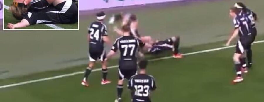 Logan Paul performs hilarious wrestling move celebration in Sidemen Charity Match at sold-out Wembley as he flips team-mate after goal