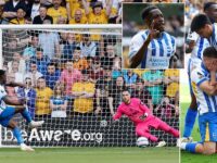 Wolves 0-2 Brighton: Danny Welbeck scores from spot as Brighton boost European qualification hopes with assured win over Wolves