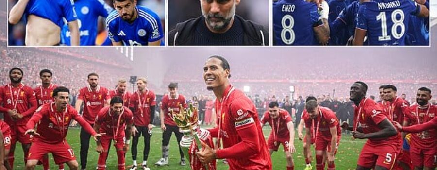 Premier League awards: Which unknown star was the signing of the season? Who will Man City regret letting go? And which team flopped the most?