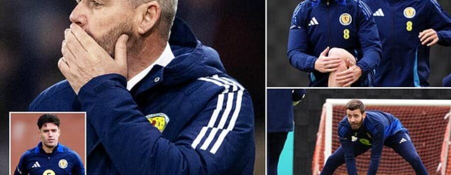 Games against Iceland and Liechtenstein may lack glamour but they are important to Steve Clarke and Scotland ahead of World Cup qualifying bid
